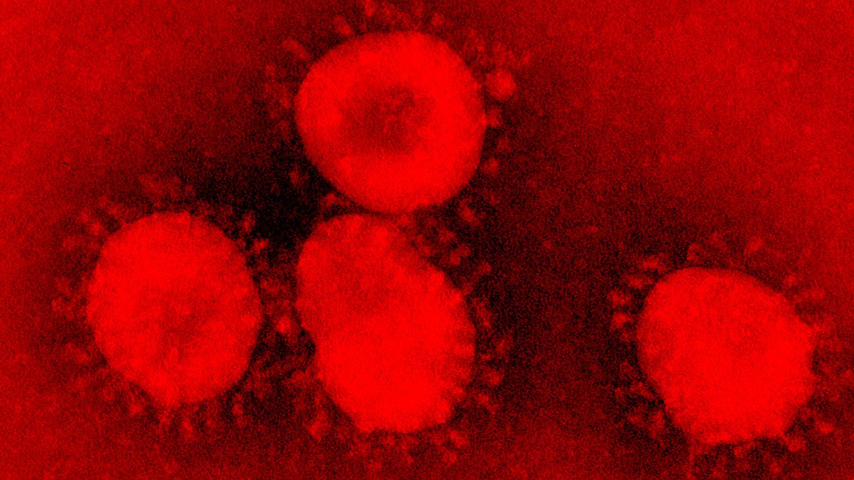 VIRUS