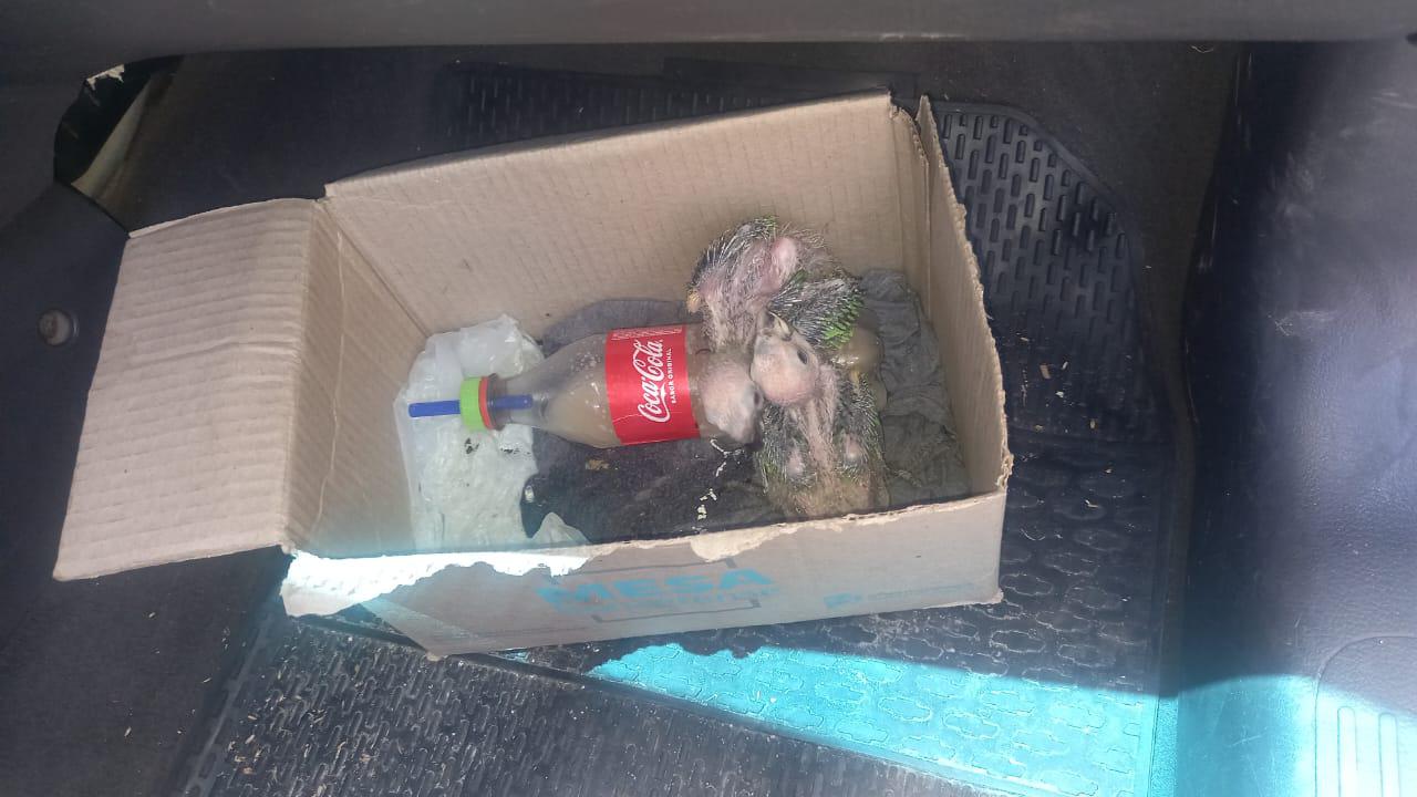 5297a5fe-83ba-48aa-aaa1-1c5a90af7a27