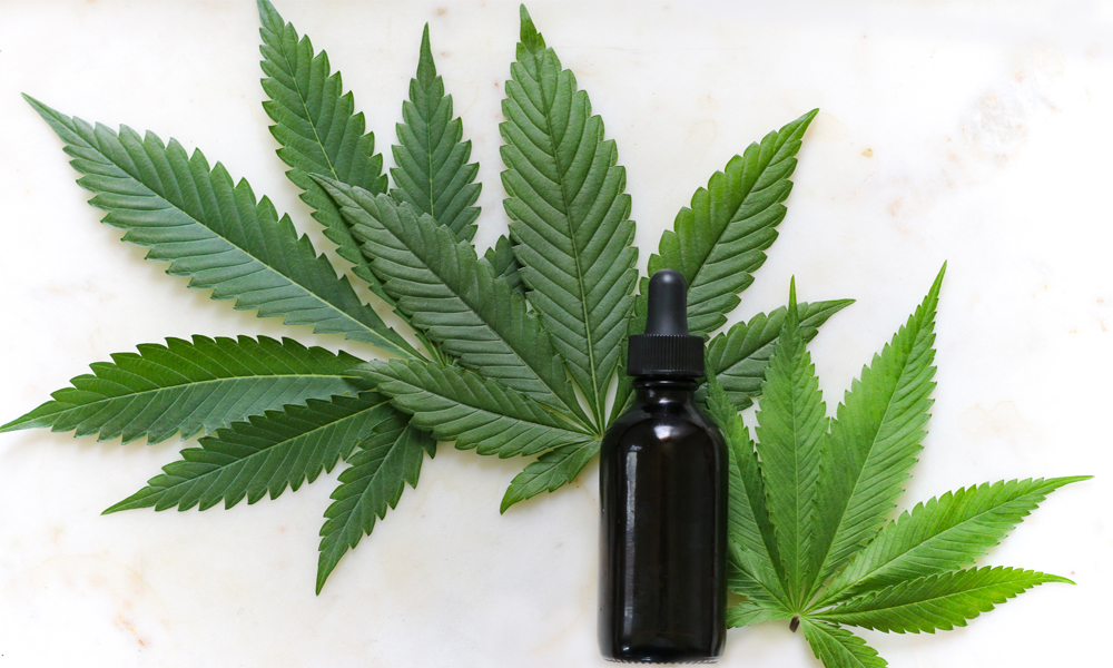 cannabis_medicinal_amparo_unsplash