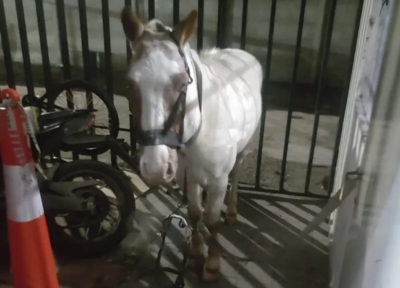 516930258_1213219057508250_815577258801886443_n