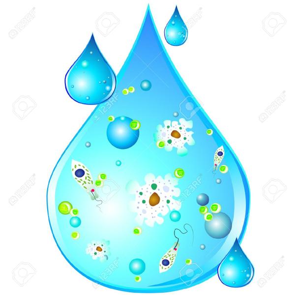 14899900-Los-microbios-en-gota-de-agua-sucia-Foto-de-archivo